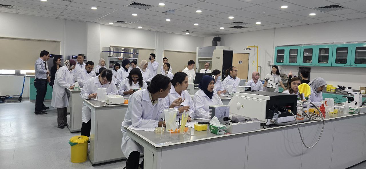 photo_6240080177187112270_y